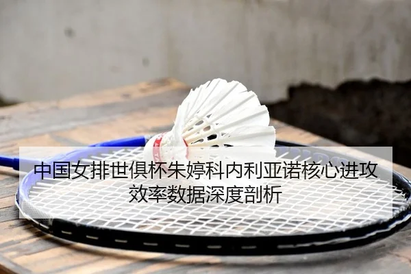 zhong-guo-nv-pai-shi-ju-bei-zhu-ting-ke-nei-li-ya-nuo-he-xin-jin-gong-xiao-lv-shu-ju-shen-du-pou-xi-2-539.jpg